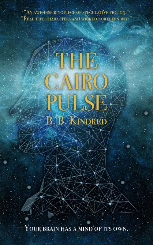 Cover of the book The Cairo Pulse by B. B. Kindred, Troubador Publishing Ltd