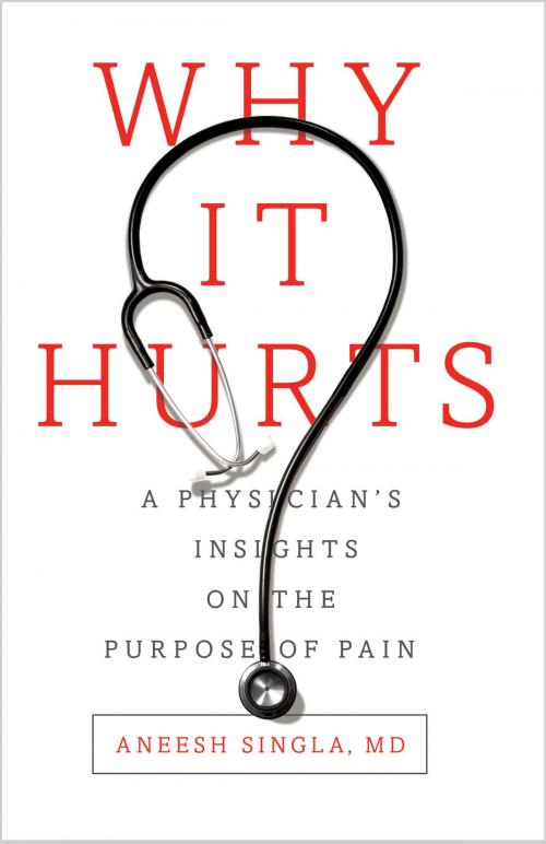 Cover of the book Why It Hurts by Dr. Aneesh Singla, Ideapress Publishing