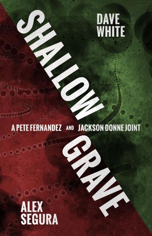 Cover of the book Shallow Grave by Alex Segura, Dave White, Polis Books