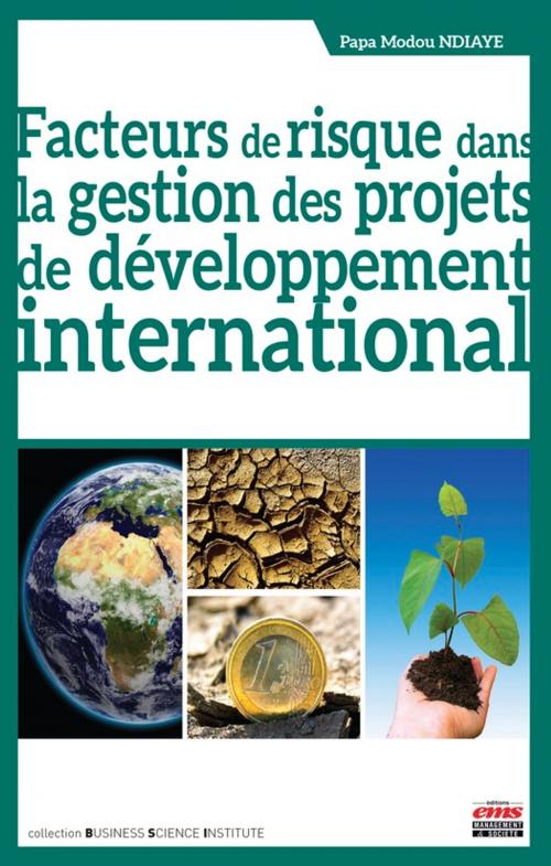 Cover of the book Facteurs de risque dans la gestion des projets de développement international by Papa Modou NDIAYE, Éditions EMS