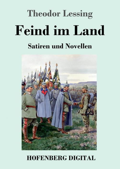 Cover of the book Feind im Land by Theodor Lessing, Hofenberg