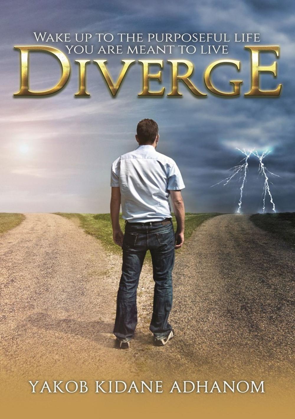 Big bigCover of Diverge: