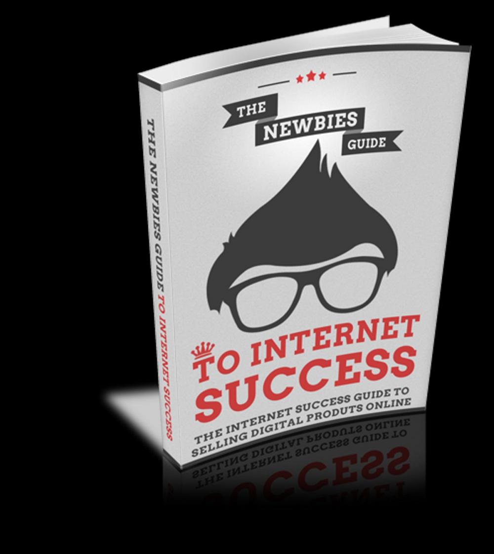 Big bigCover of The Newbies Guide to Internet Success