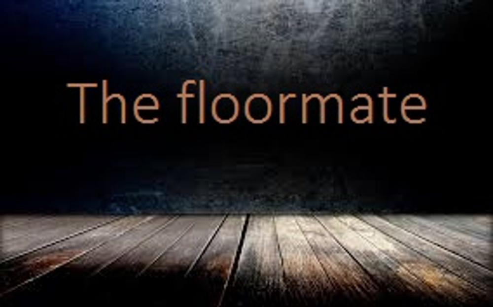 Big bigCover of The Floormate