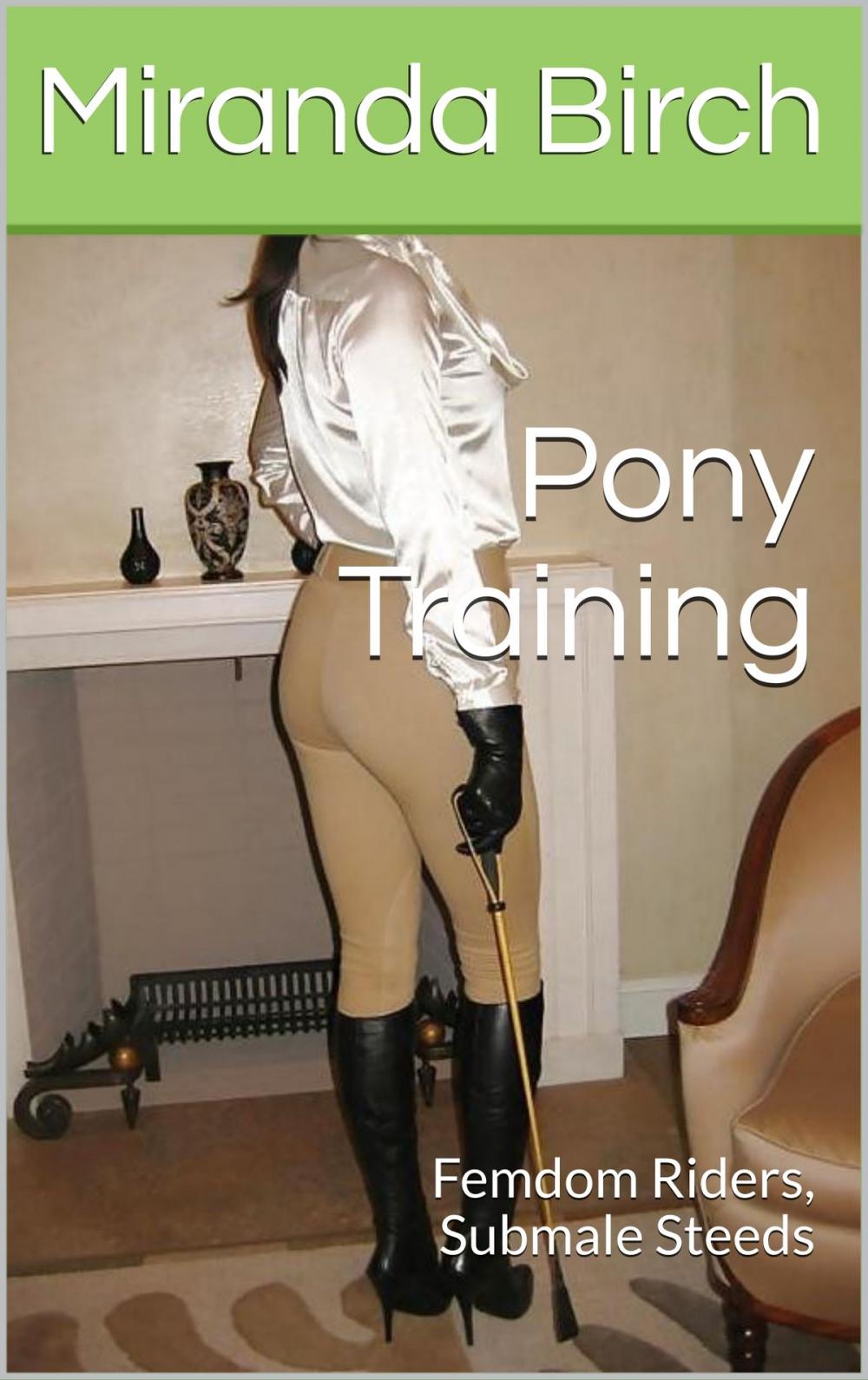 Big bigCover of Pony Training