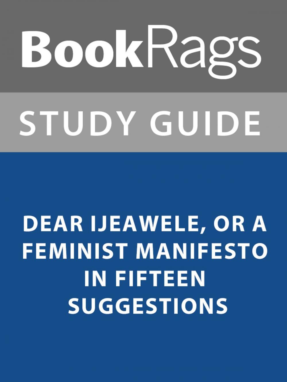 Big bigCover of Summary & Study Guide: Dear Ijeawale, or A Feminist Manifesto in Fifteen Suggestions