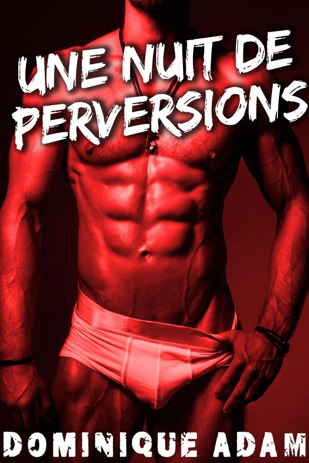 Big bigCover of Une Nuit De Perversions MM