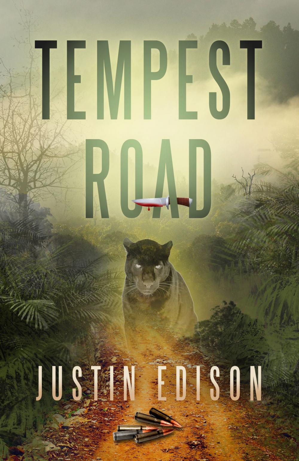 Big bigCover of Tempest Road