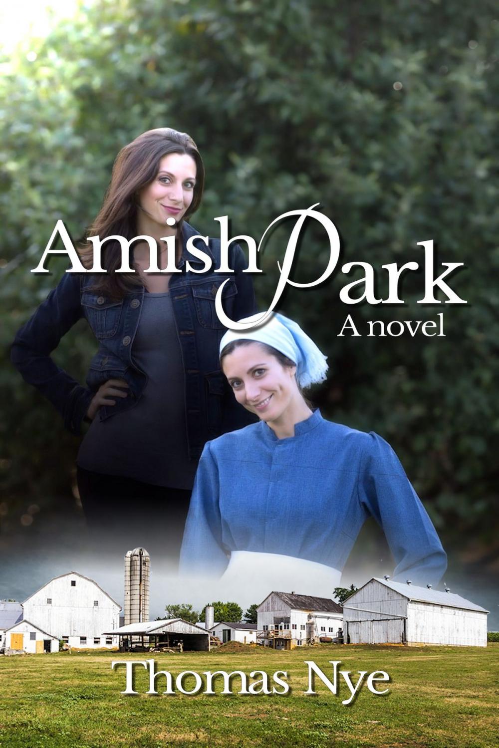 Big bigCover of Amish Park