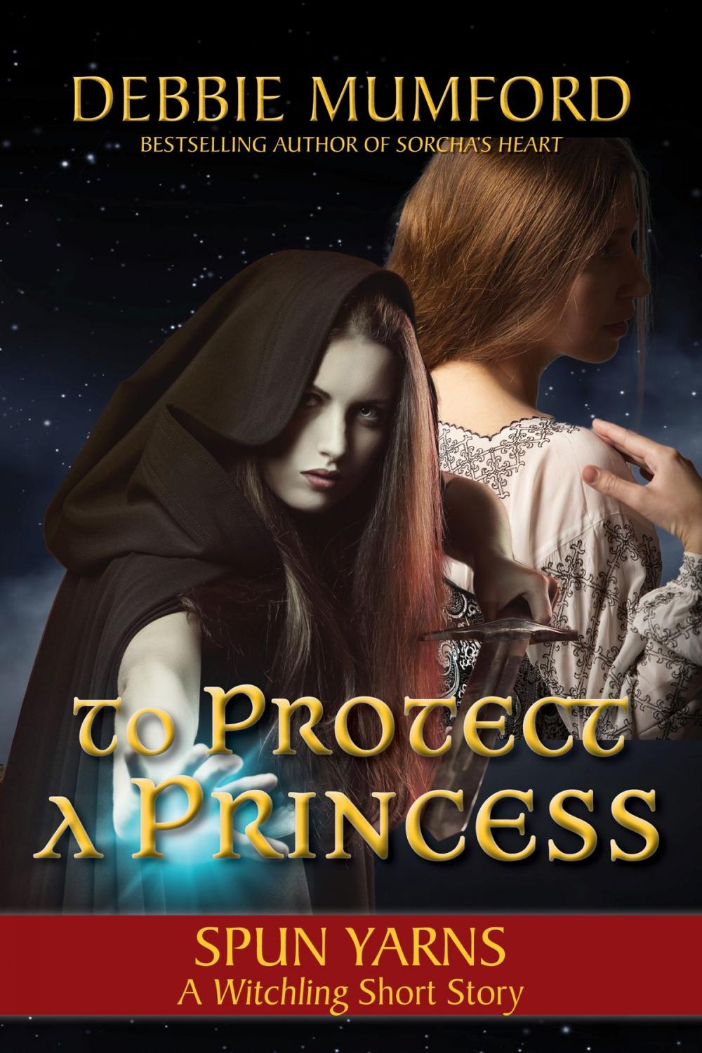 Big bigCover of To Protect a Princess