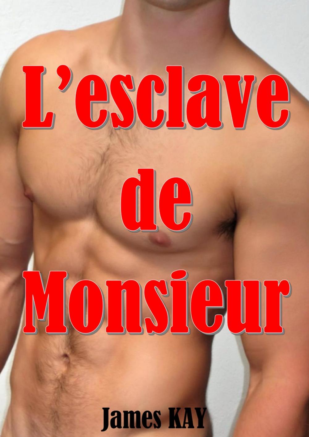 Big bigCover of L'esclave de Monsieur