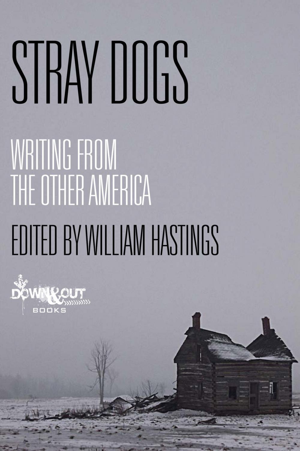 Big bigCover of Stray Dogs: Writing from the Other America