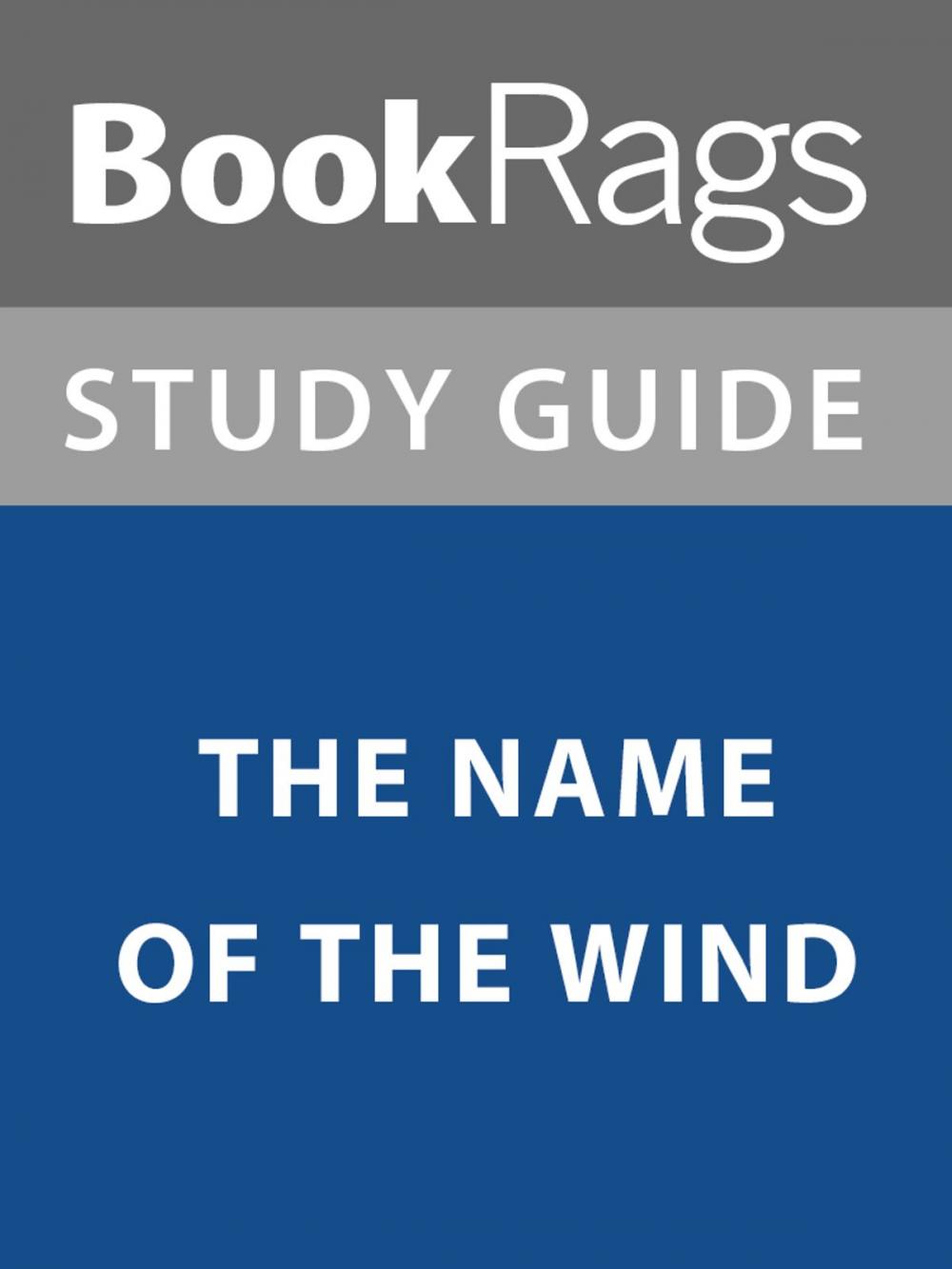 Big bigCover of Summary & Study Guide: The Name of the Wind