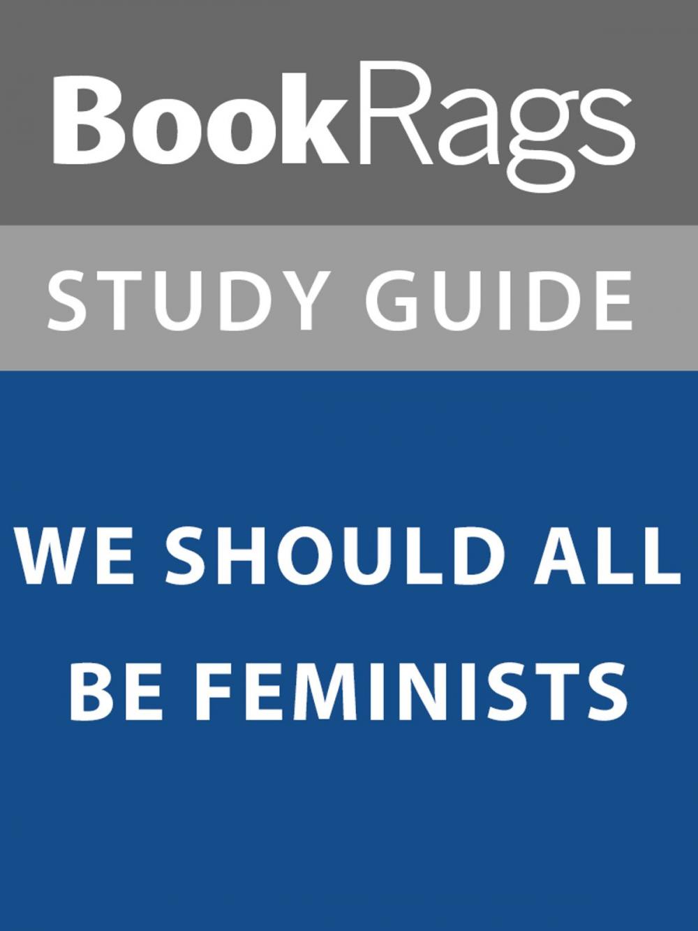 Big bigCover of Summary & Study Guide: We Should All Be Feminists