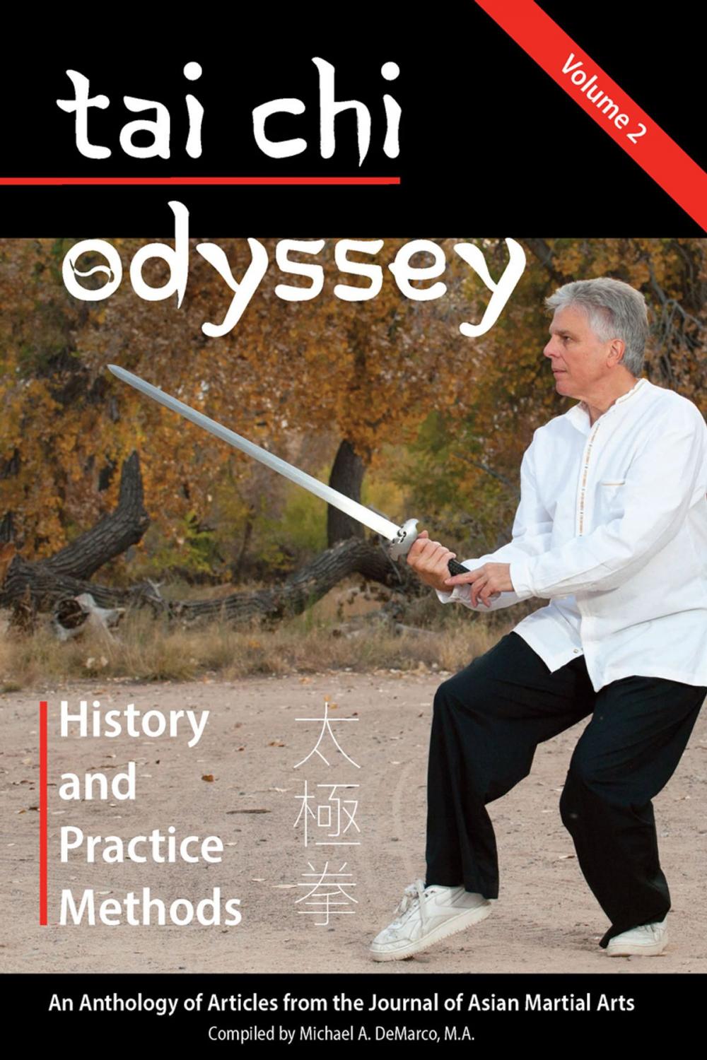 Big bigCover of Tai Chi Odyssey, Vol. 2