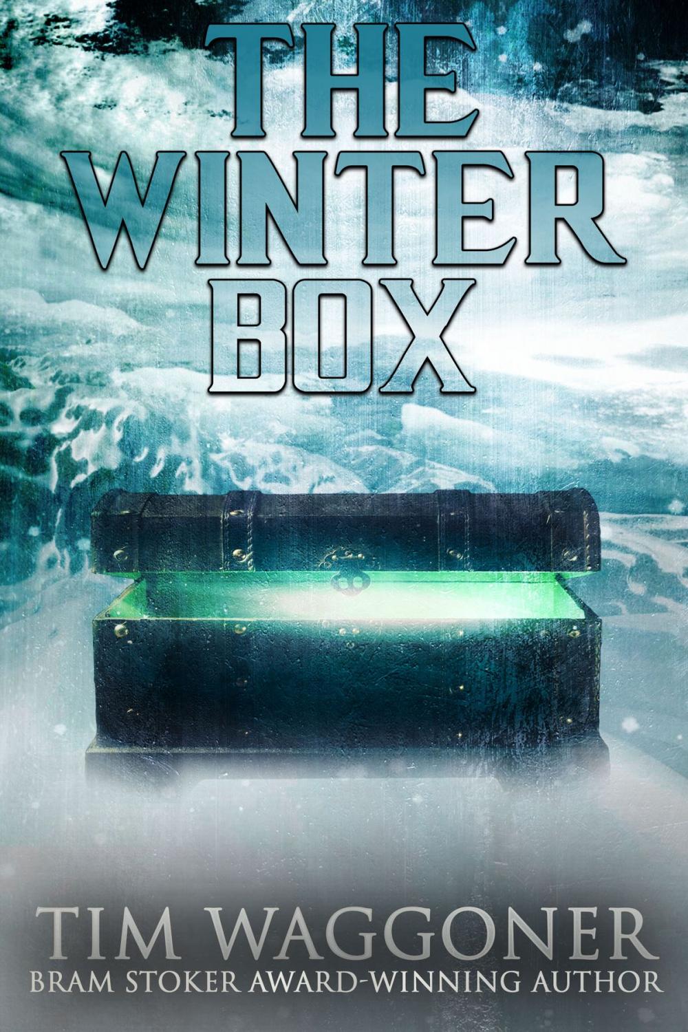 Big bigCover of The Winter Box