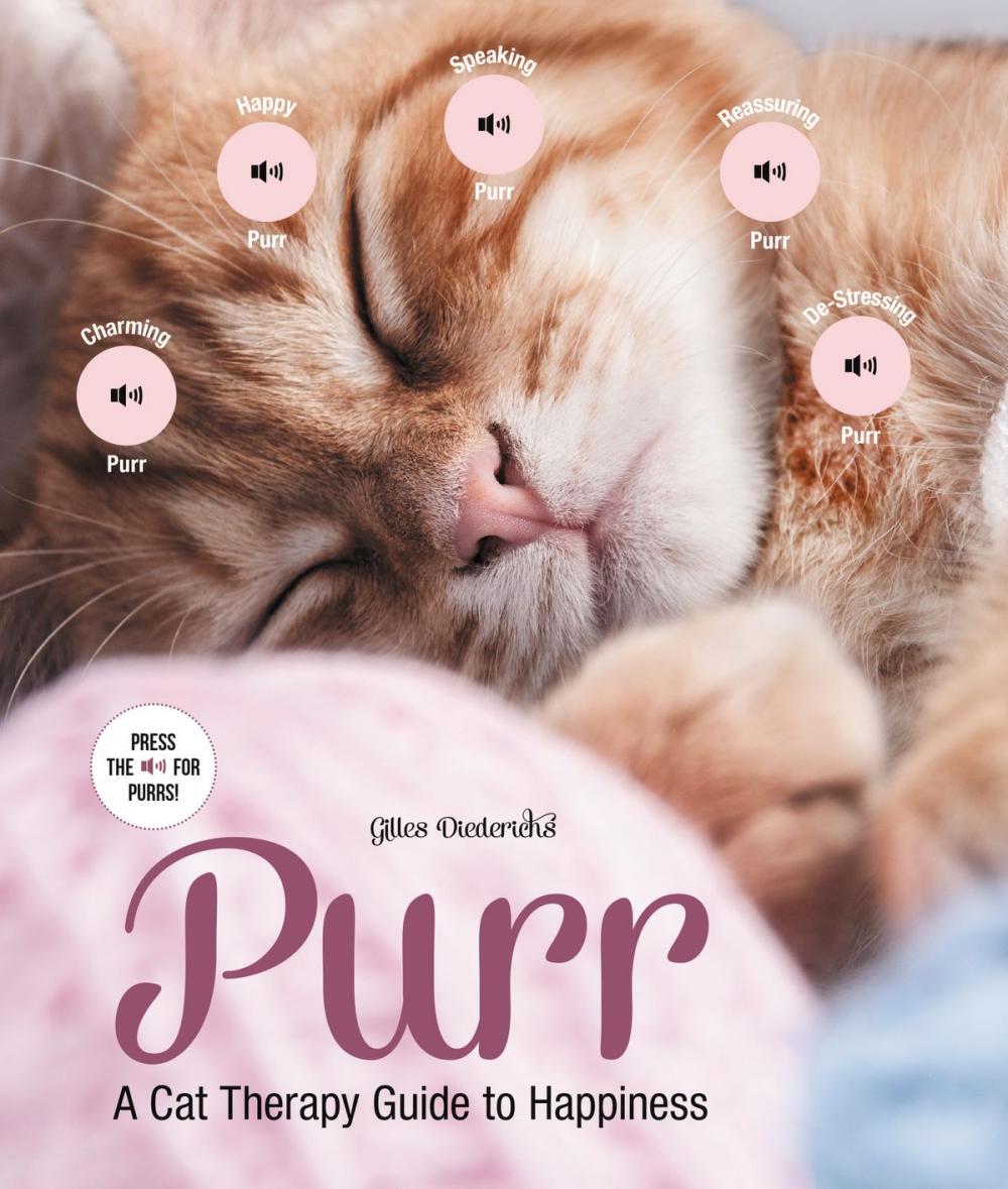 Big bigCover of Purr