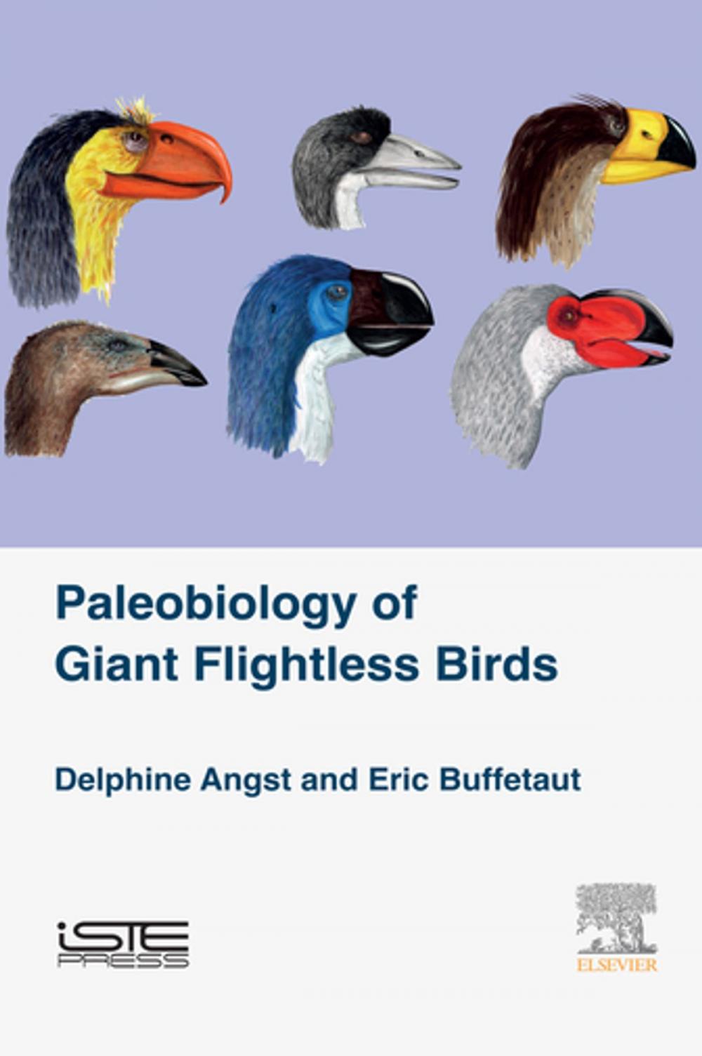 Big bigCover of Palaeobiology of Giant Flightless Birds