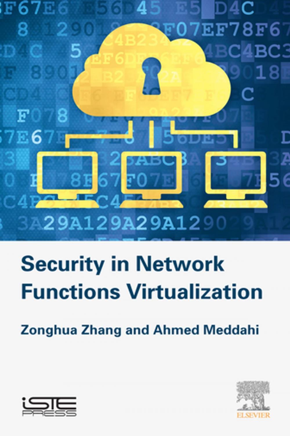 Big bigCover of Security in Network Functions Virtualization