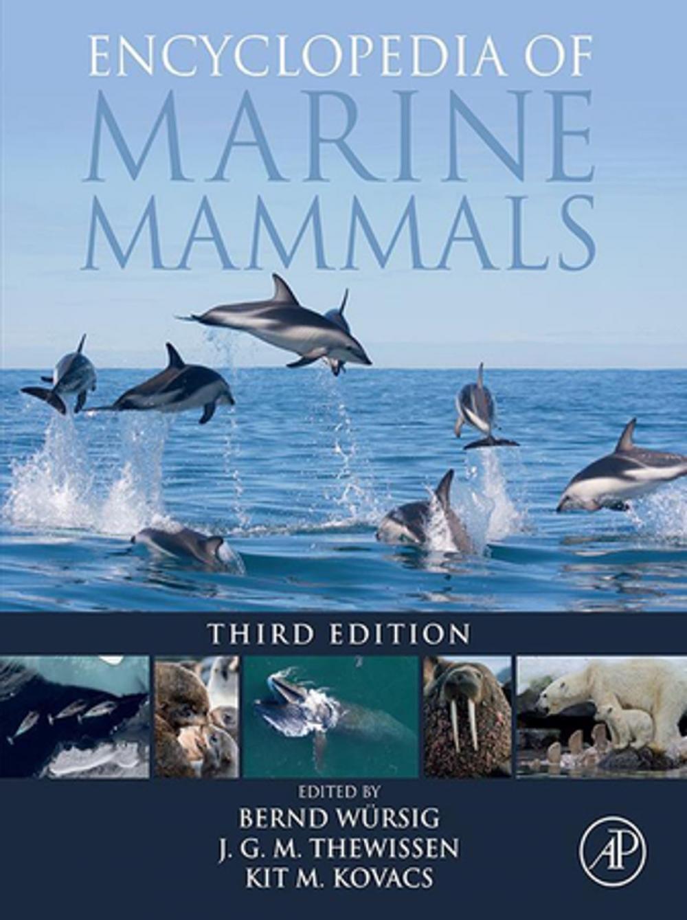 Big bigCover of Encyclopedia of Marine Mammals