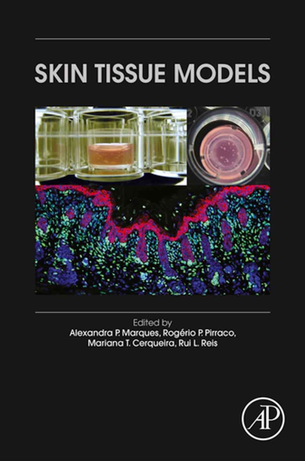 Big bigCover of Skin Tissue Models