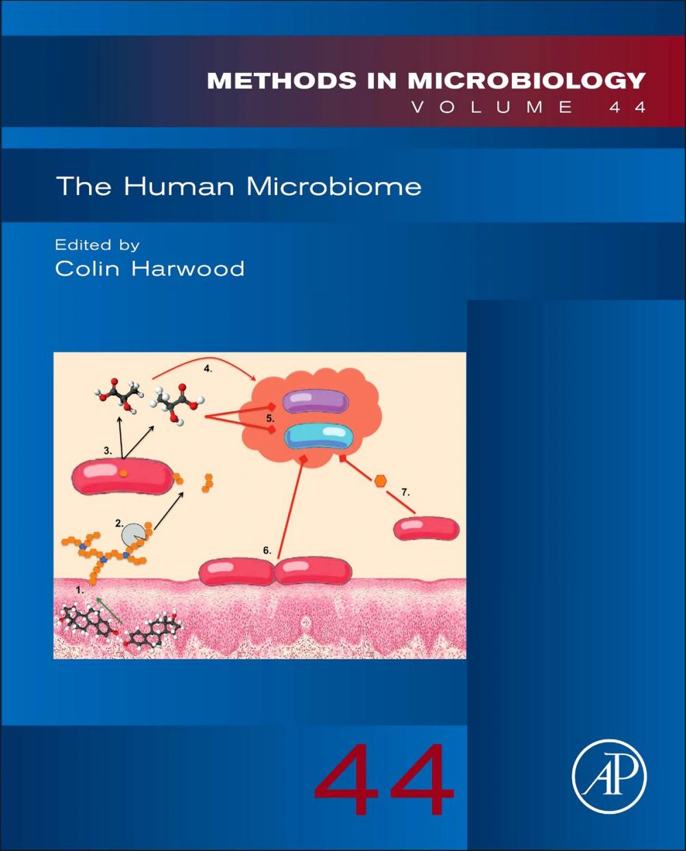 Big bigCover of The Human Microbiome