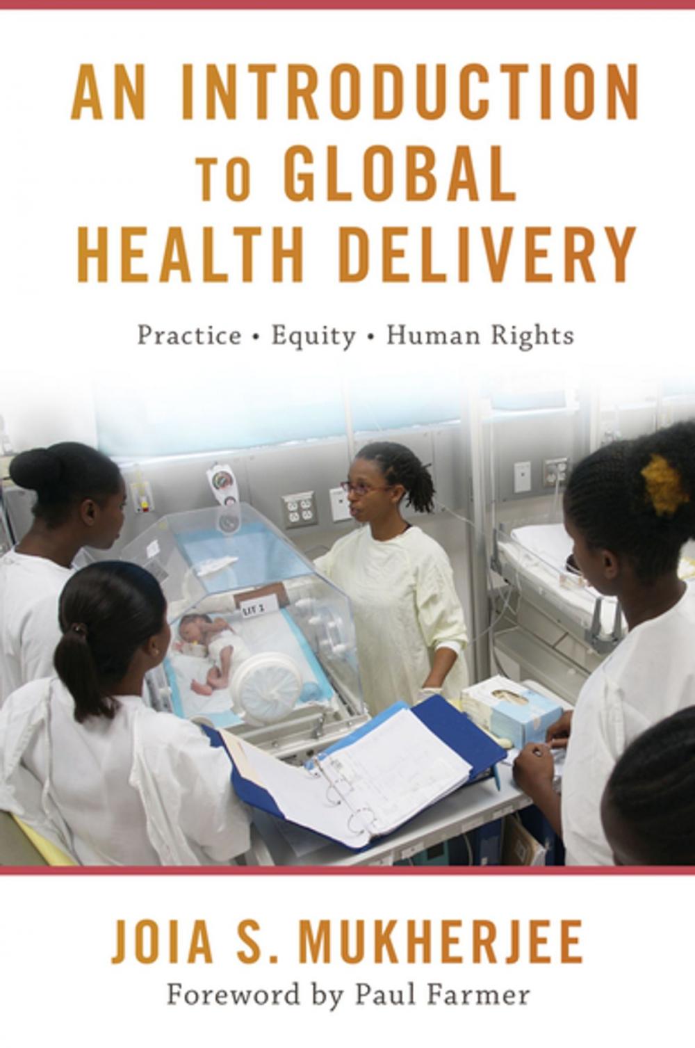 Big bigCover of An Introduction to Global Health Delivery