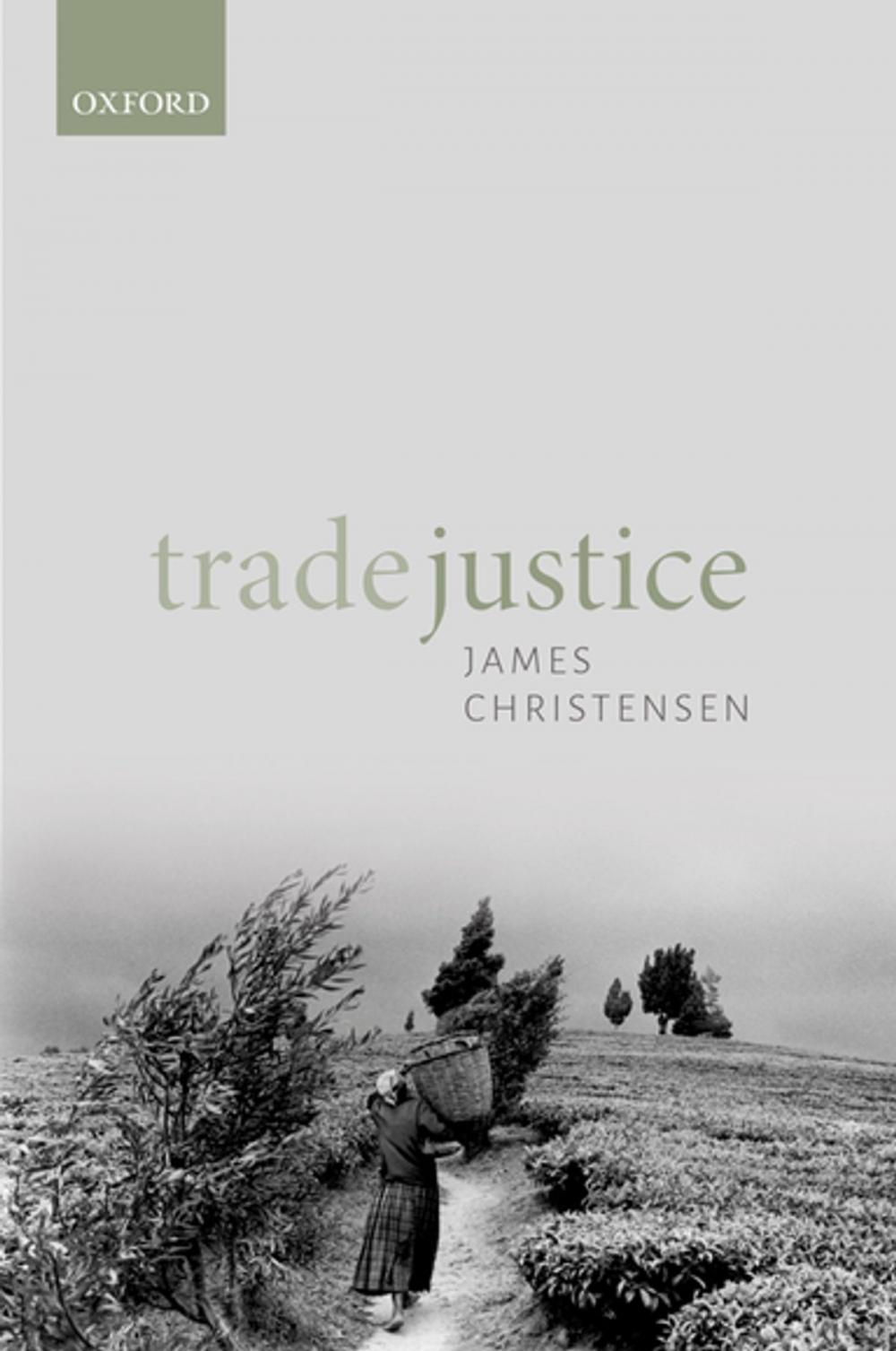 Big bigCover of Trade Justice