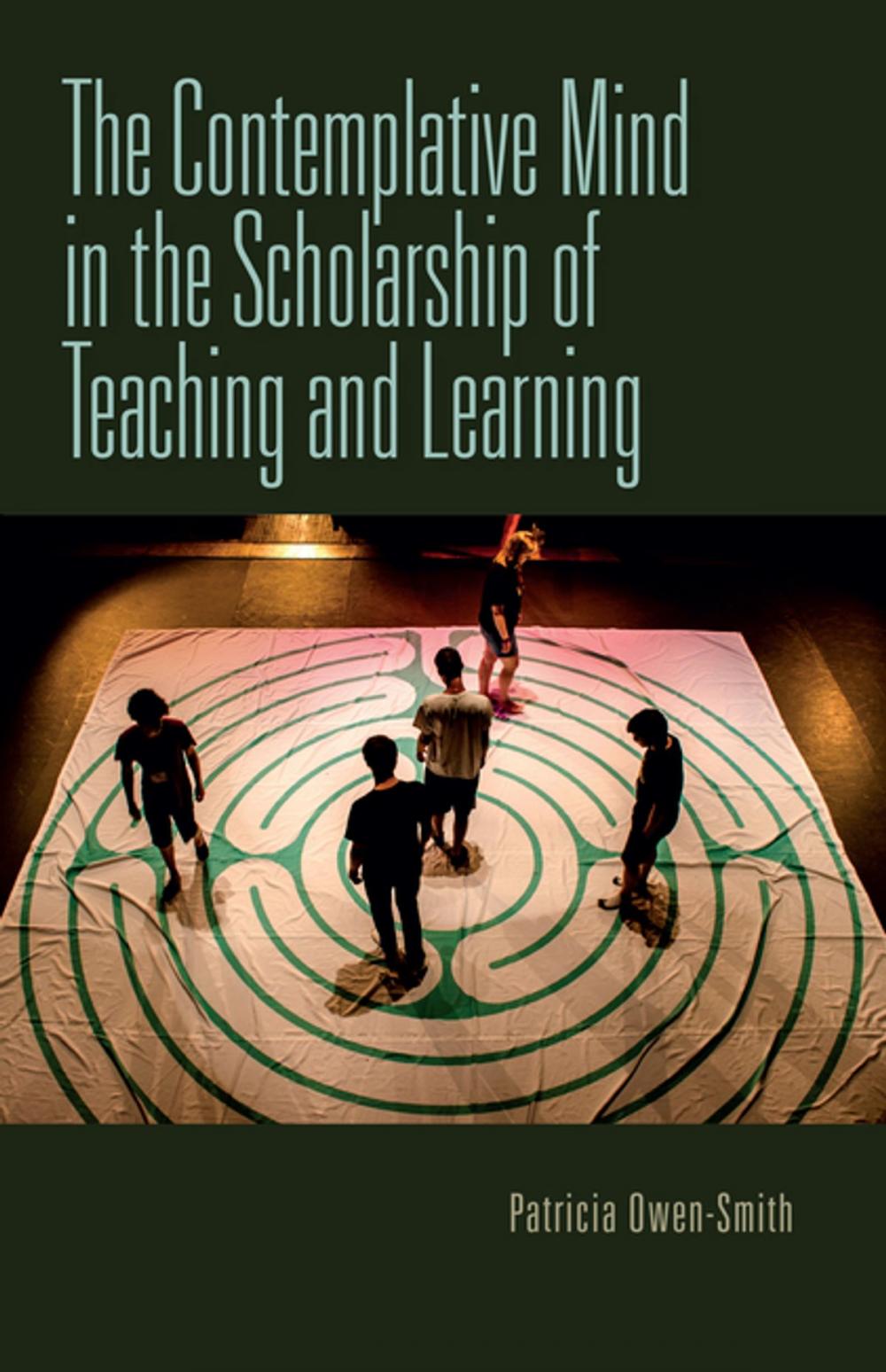 Big bigCover of The Contemplative Mind in the Scholarship of Teaching and Learning