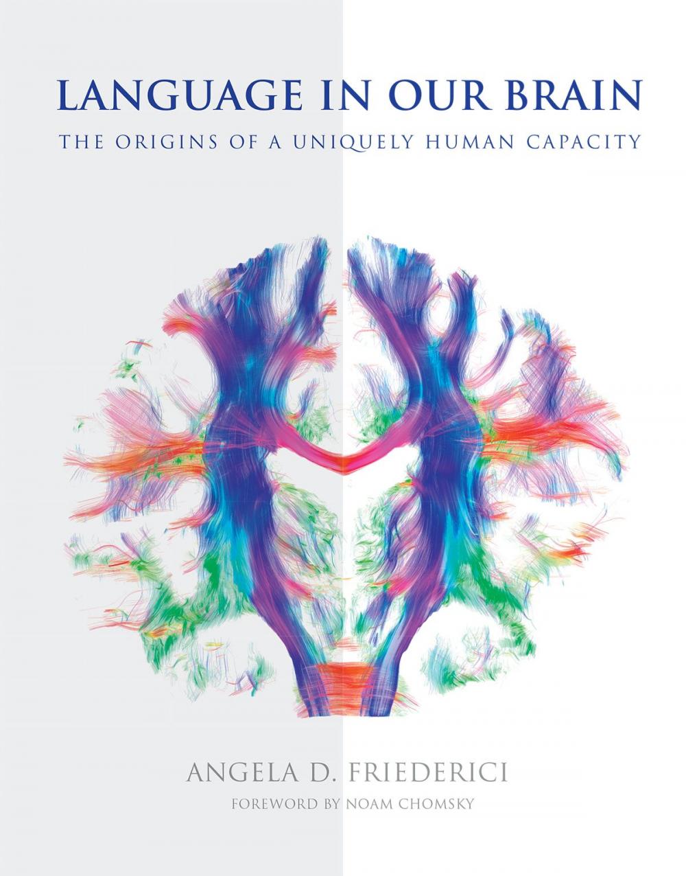 Big bigCover of Language in Our Brain