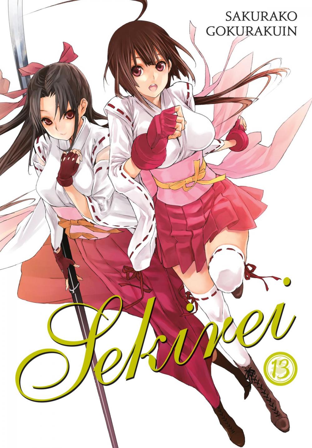 Big bigCover of Sekirei, Vol. 13