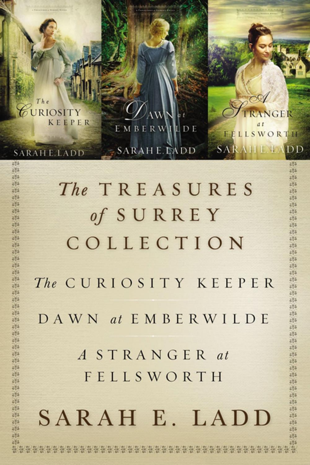 Big bigCover of The Treasures of Surrey Collection
