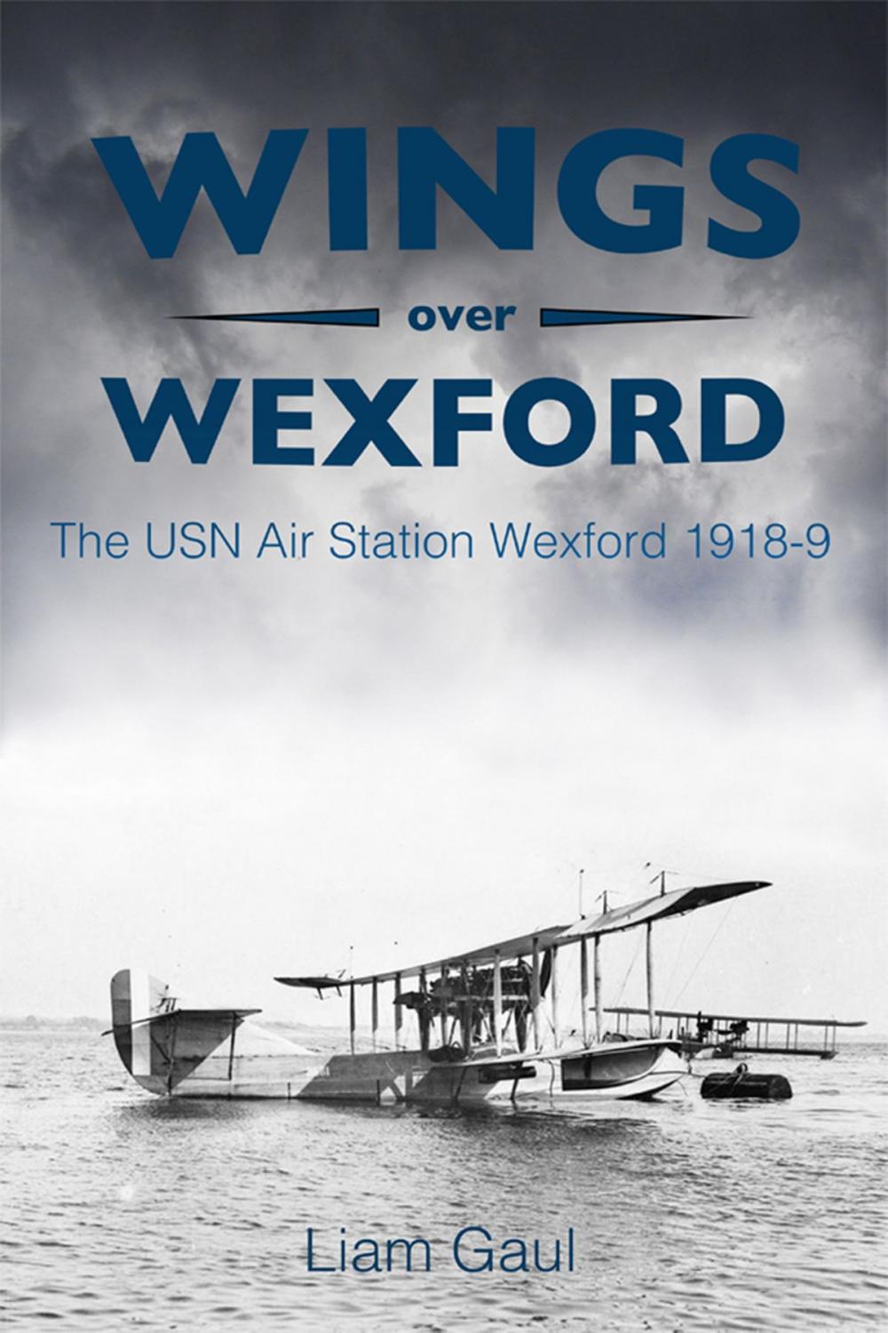 Big bigCover of Wings over Wexford