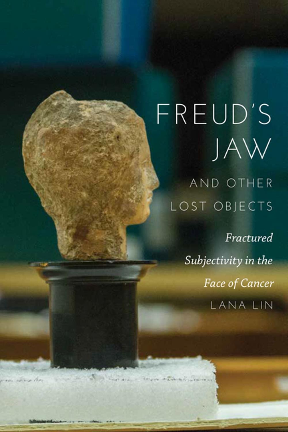 Big bigCover of Freud's Jaw and Other Lost Objects