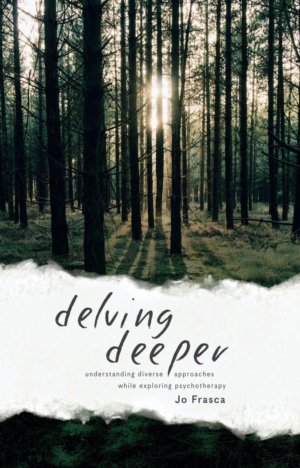 Big bigCover of Delving Deeper