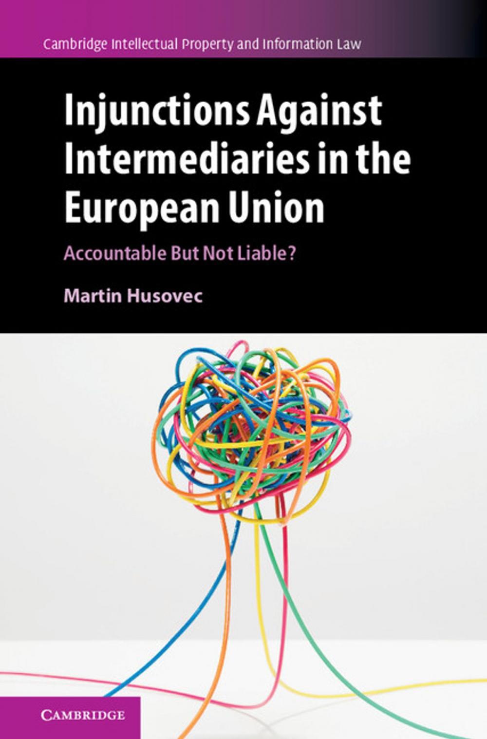 Big bigCover of Injunctions Against Intermediaries in the European Union