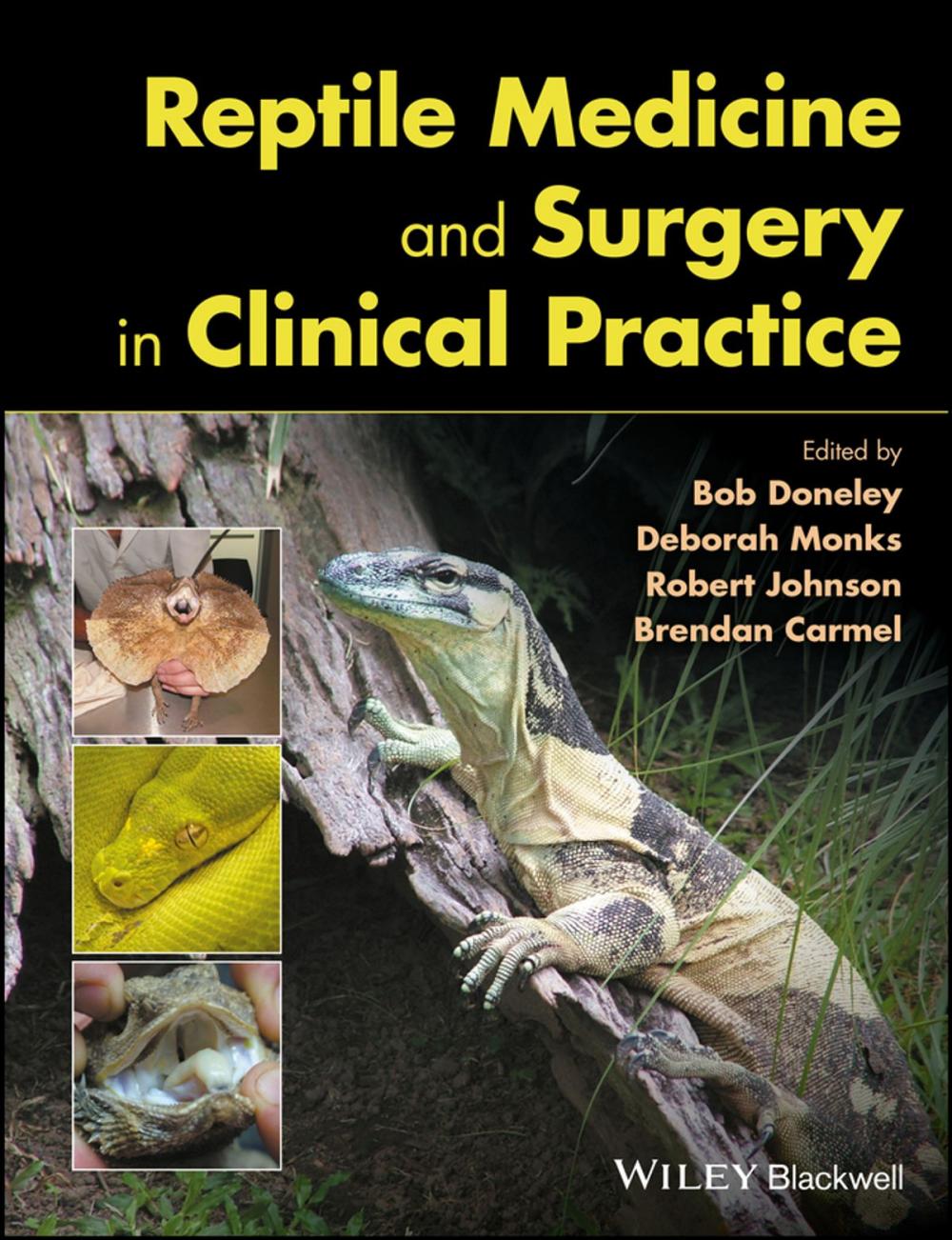 Big bigCover of Reptile Medicine and Surgery in Clinical Practice