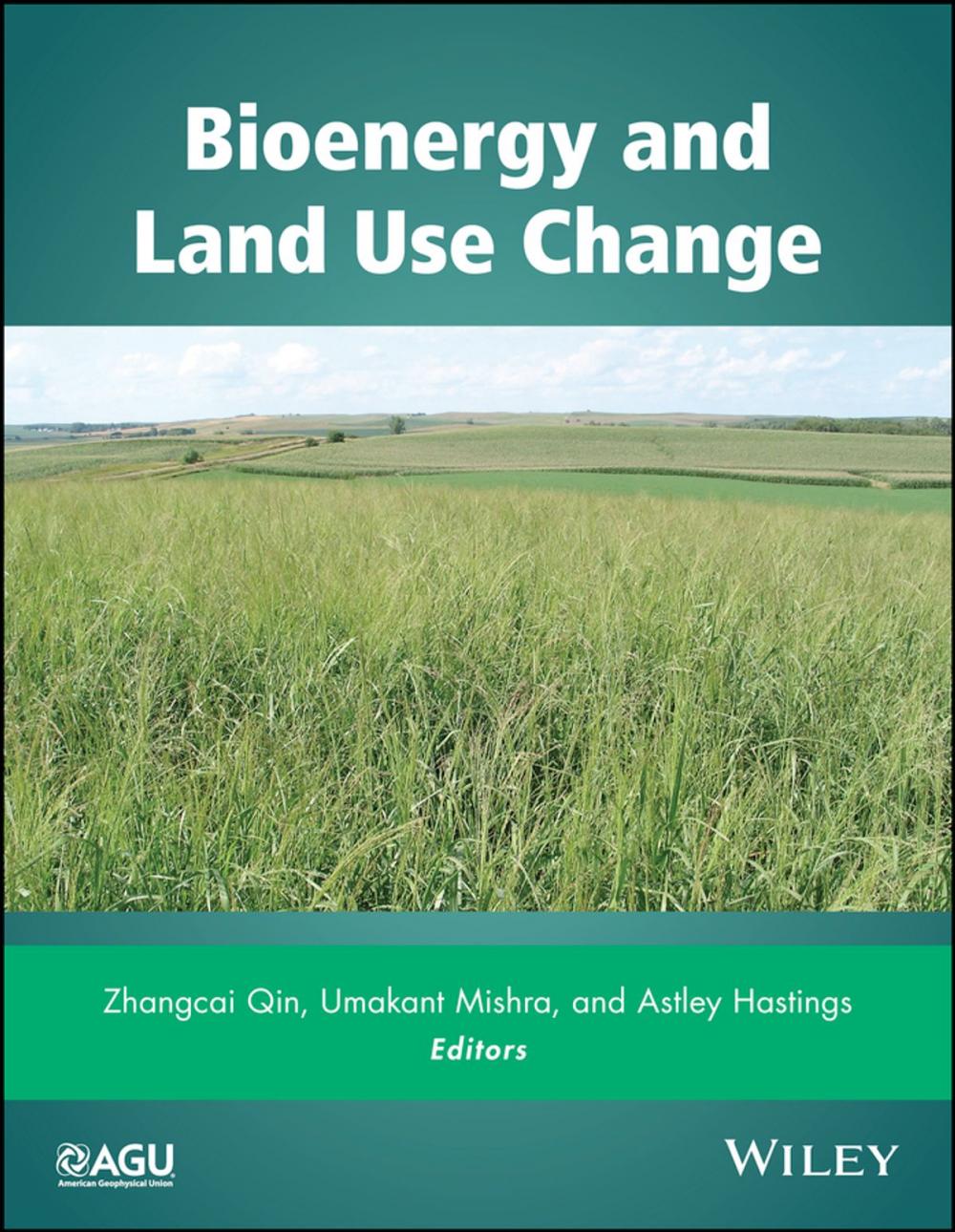 Big bigCover of Bioenergy and Land Use Change