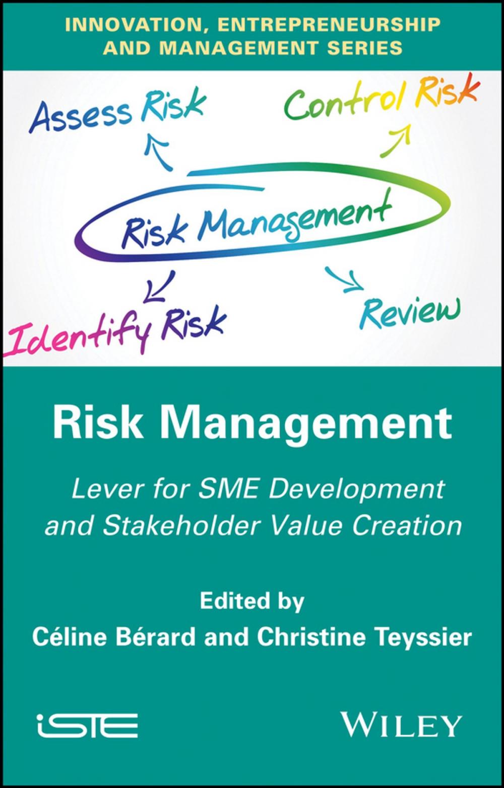 Big bigCover of Risk Management