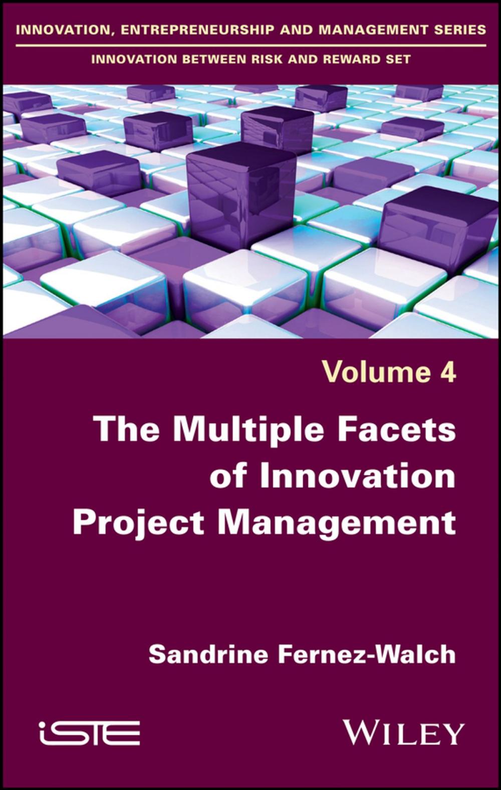 Big bigCover of The Multiple Facets of Innovation Project Management