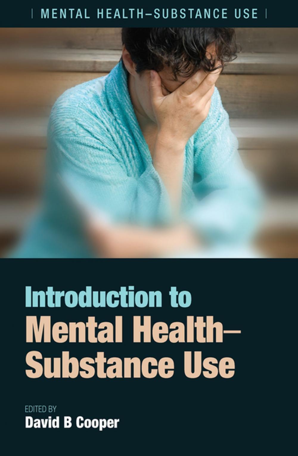 Big bigCover of Introduction to Mental Health