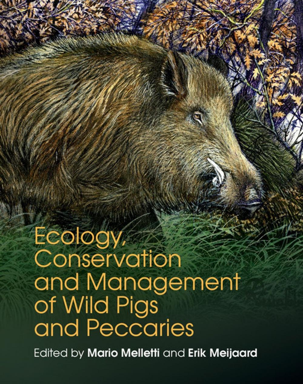 Big bigCover of Ecology, Conservation and Management of Wild Pigs and Peccaries