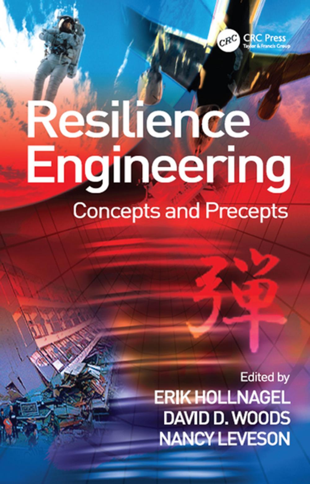 Big bigCover of Resilience Engineering