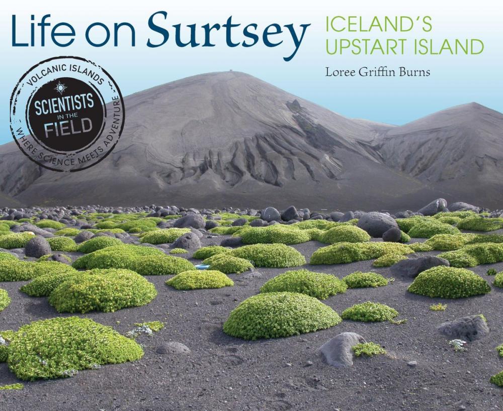 Big bigCover of Life on Surtsey