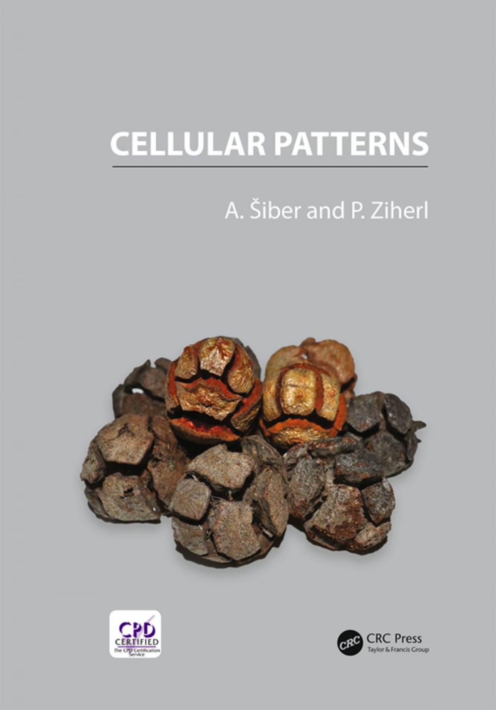 Big bigCover of Cellular Patterns