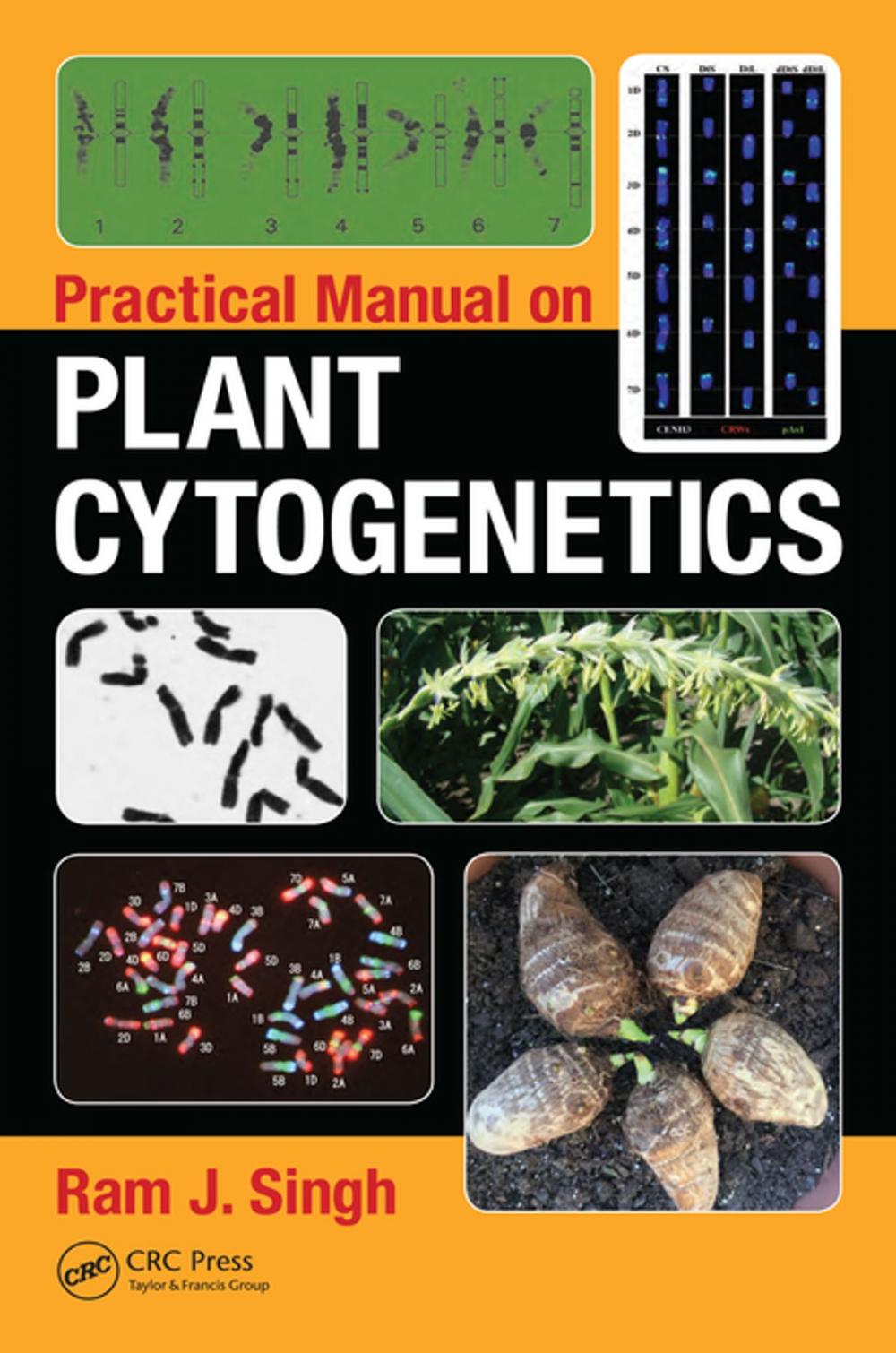 Big bigCover of Practical Manual on Plant Cytogenetics