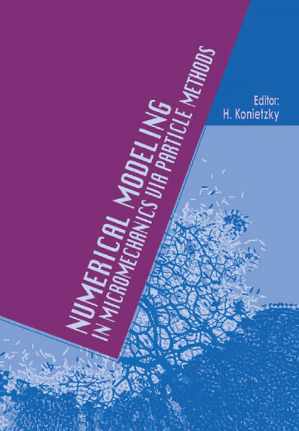 Big bigCover of Numerical Modeling in Micromechanics via Particle Methods