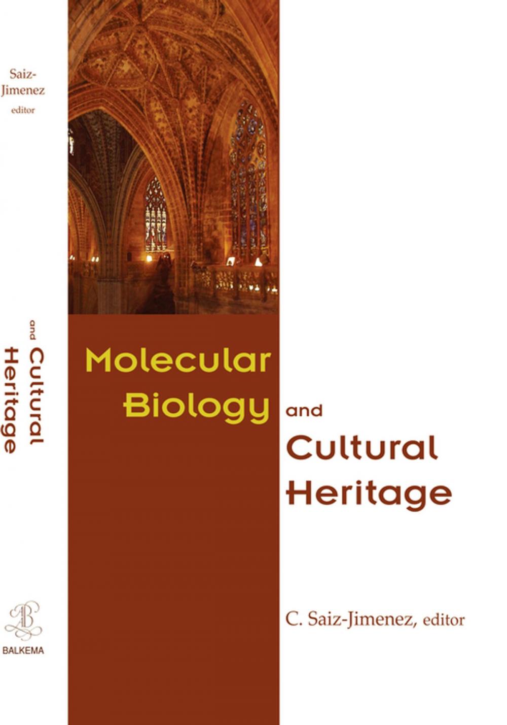 Big bigCover of Molecular Biology and Cultural Heritage