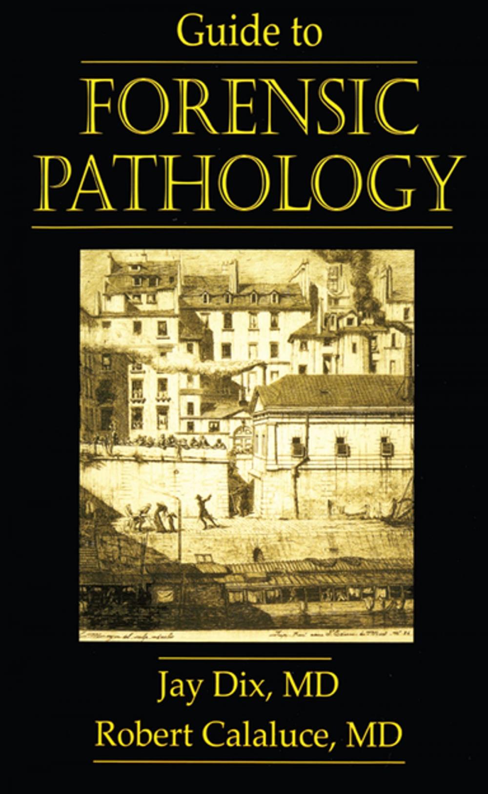 Big bigCover of Guide to Forensic Pathology