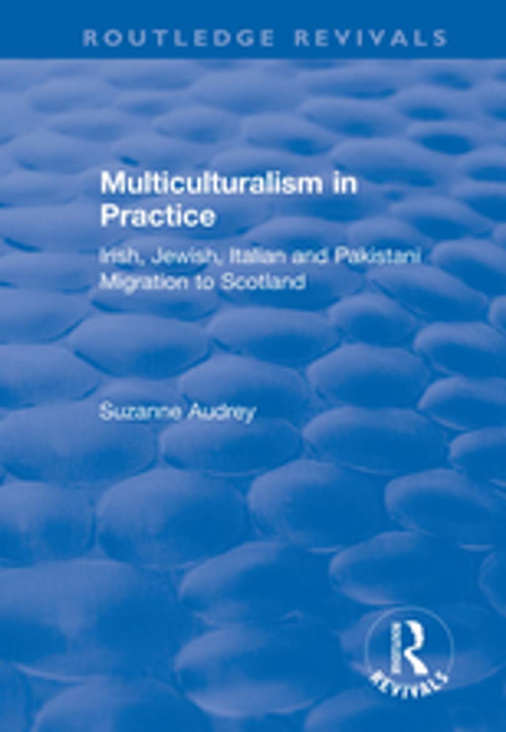 Big bigCover of Multiculturalism in Practice